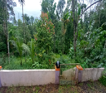 Kunnappall Chooral, Kerala